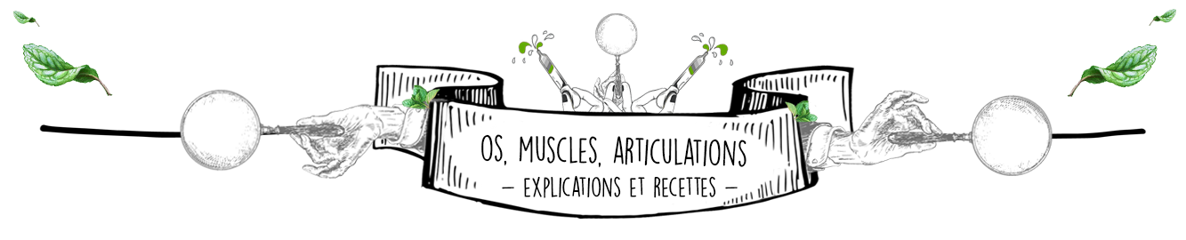 Les Huiles Essentielles Anti-Inflammatoires : le Dossier Complet par Olyaris